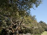 Russian Ridge 14